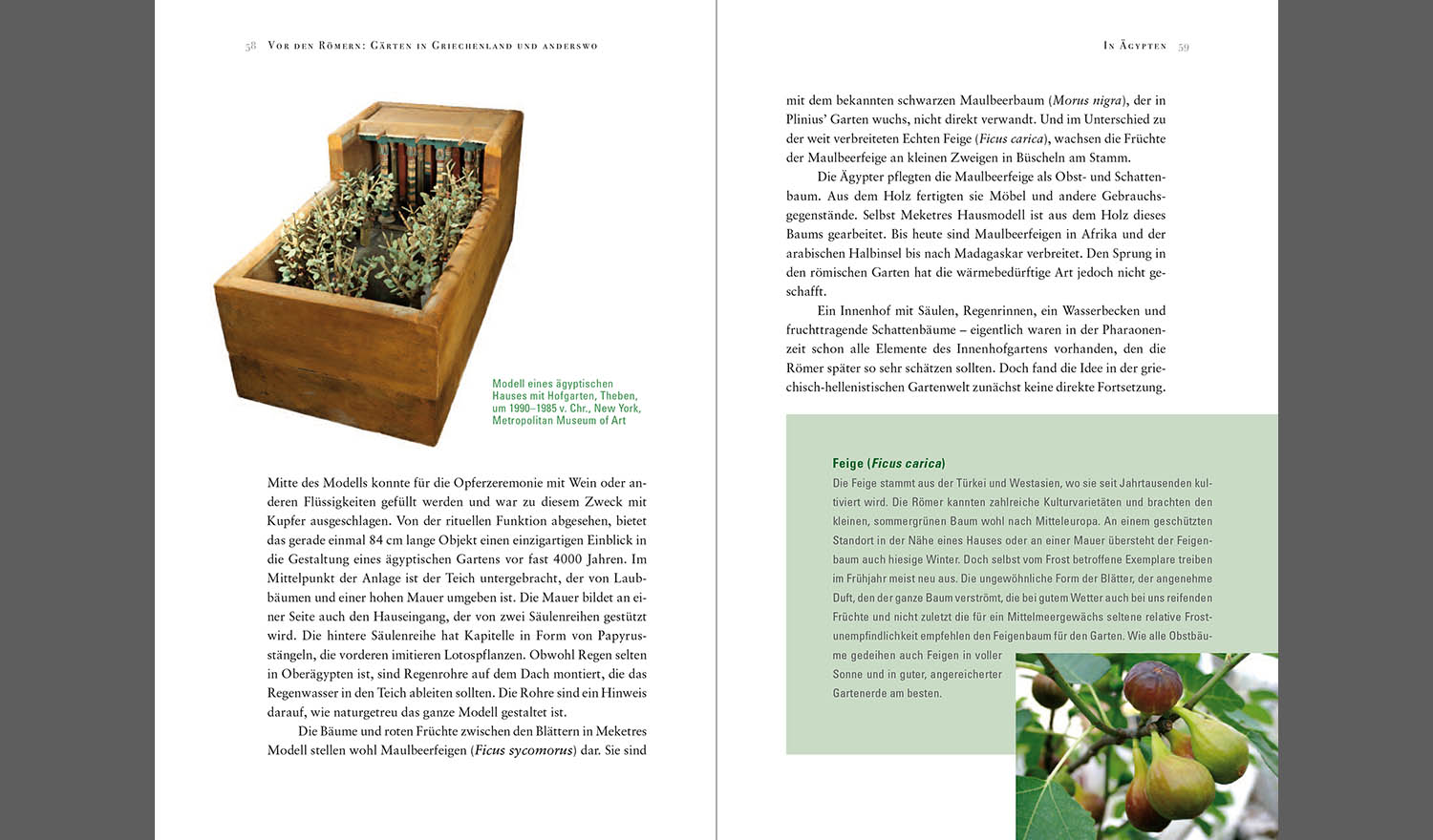 Akanthus&nbsp;und&nbsp;Zitronen&nbsp;&nbsp;| Die&nbsp;Welt&nbsp;der&nbsp;römischen&nbsp;Gärten&nbsp;| Philipp&nbsp;von&nbsp;Zabern