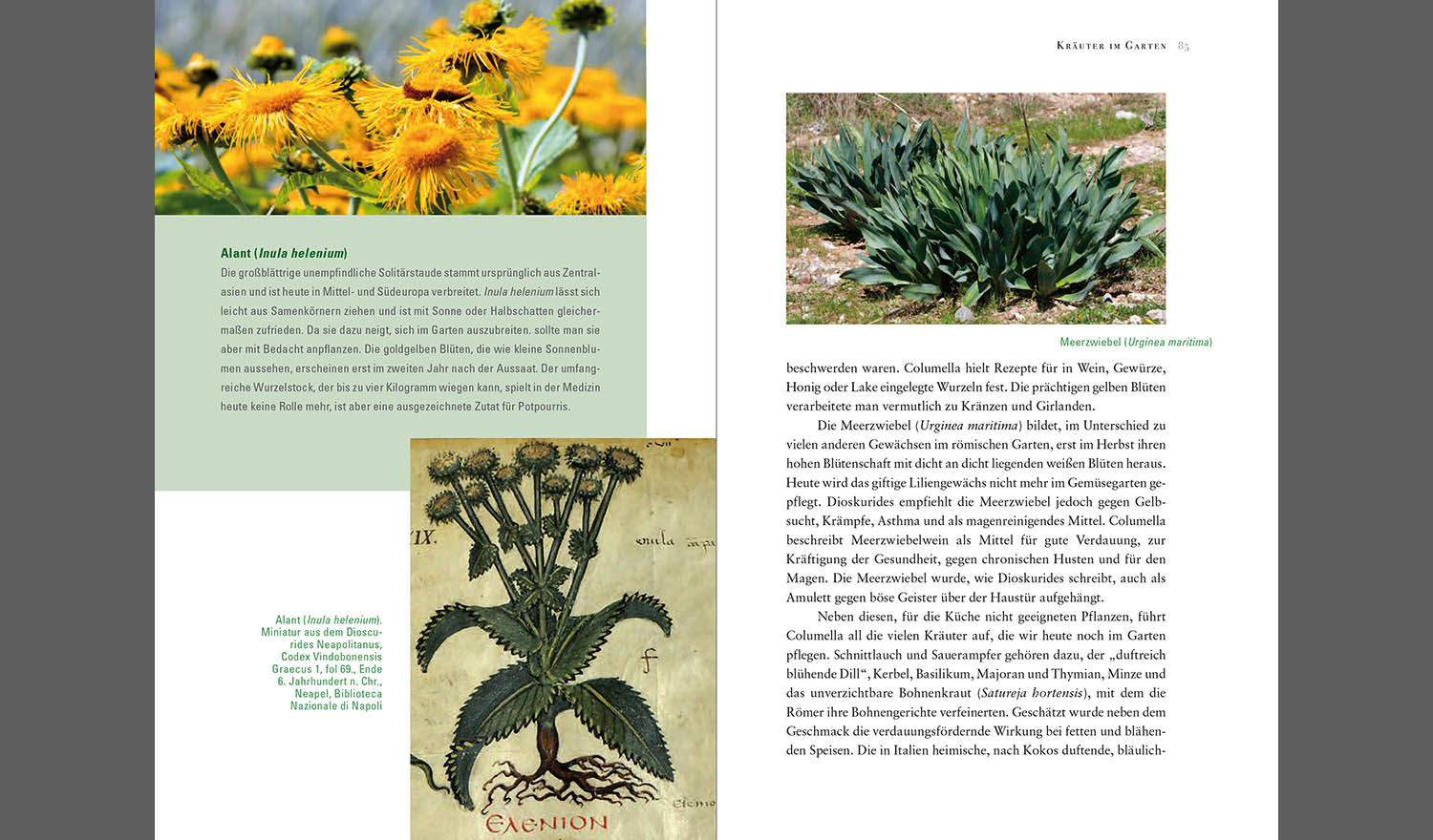 Akanthus&nbsp;und&nbsp;Zitronen&nbsp;&nbsp;| Die&nbsp;Welt&nbsp;der&nbsp;römischen&nbsp;Gärten&nbsp;| Philipp&nbsp;von&nbsp;Zabern