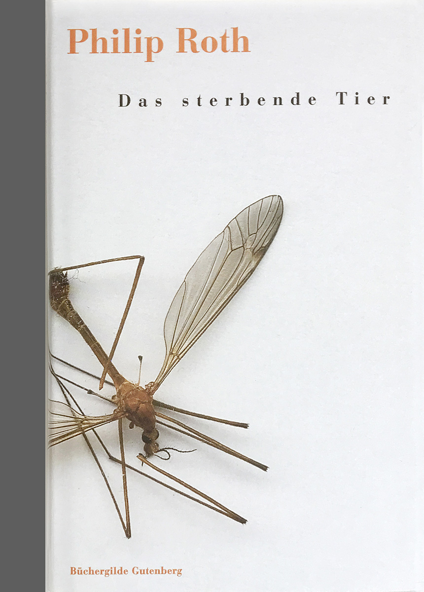 Philip Roth<br>»Das sterbende Tier«<br>Leinenband mit Schutzumschlag<br>&nbsp