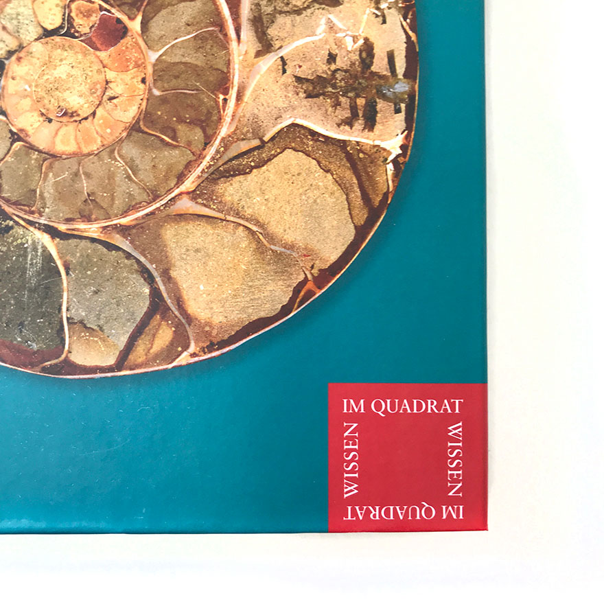 »Wissen im Quadrat«<br>Gestaltung einer Sachbuchreihe<br>Primus Verlag<br>&nbsp