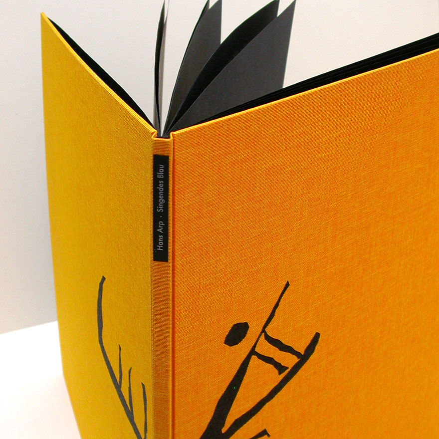 Hans Arp&nbsp;• Singendes Blau, 2006