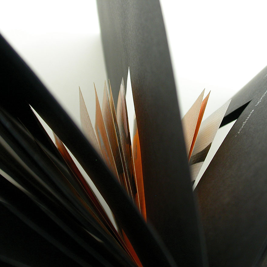 Hans Arp&nbsp;• Singendes Blau, 2006