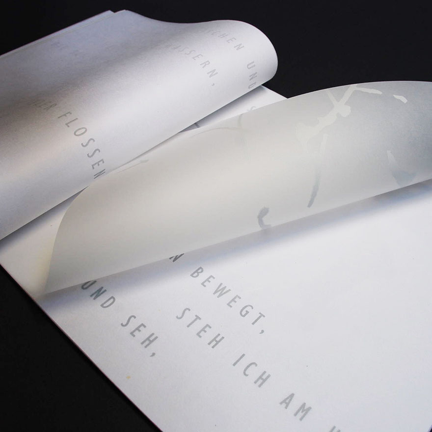 Ingeborg Bachmann&nbsp;• Nebelland, 2009