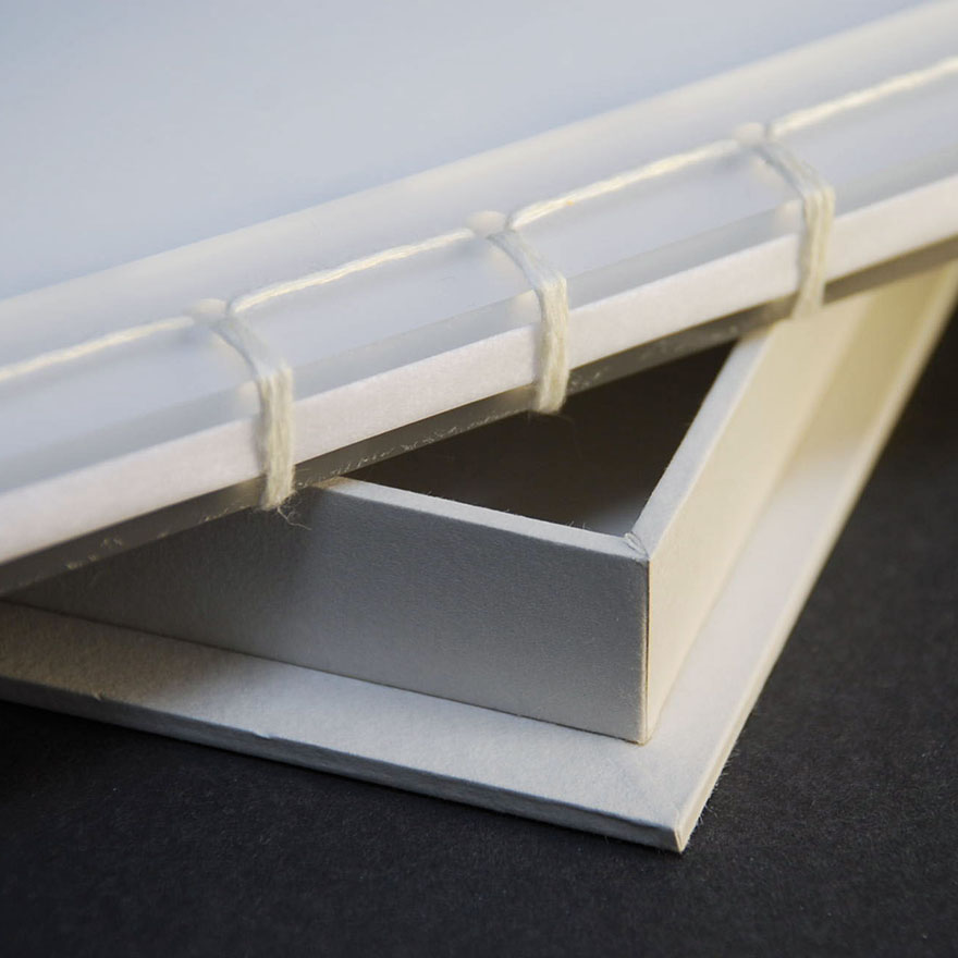 Ingeborg Bachmann&nbsp;• Nebelland, 2009