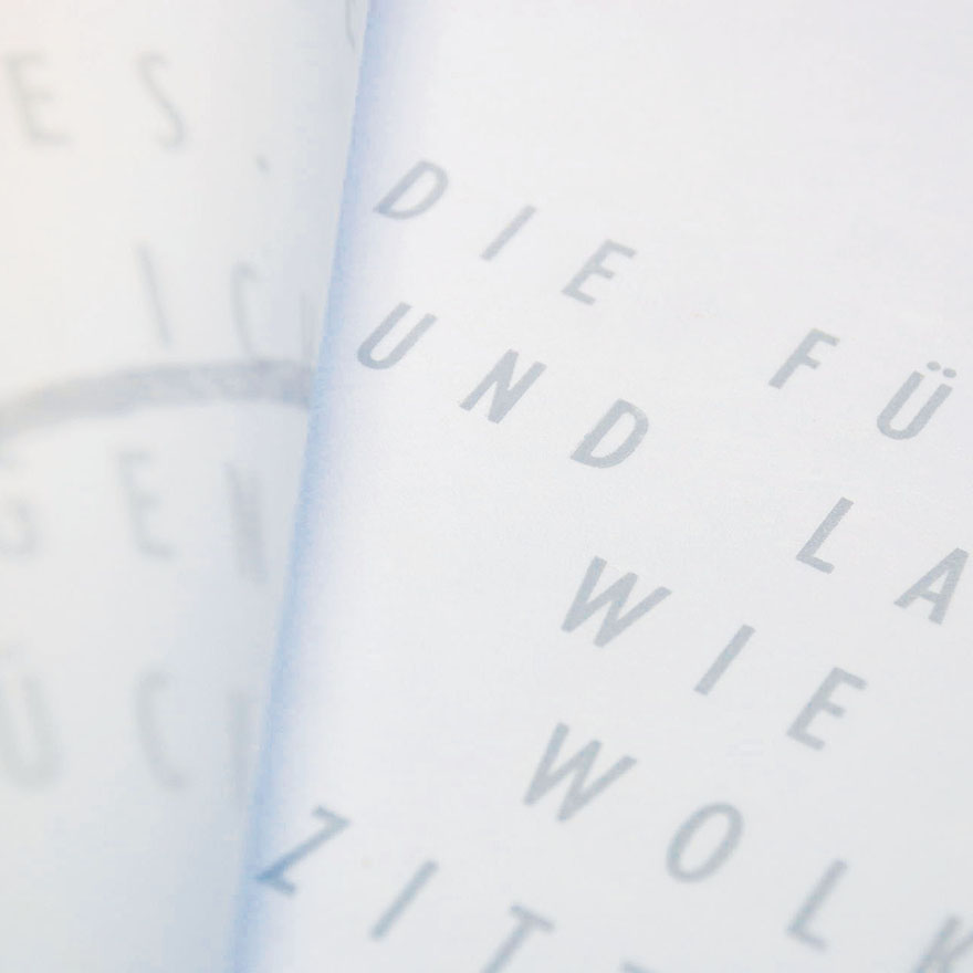 Ingeborg Bachmann&nbsp;• Nebelland, 2009