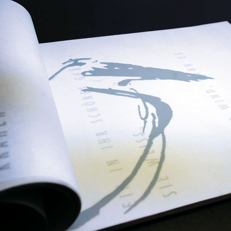 Ingeborg Bachmann&nbsp;• Nebelland, 2009