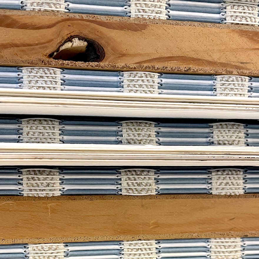 Gertrud Kolmar&nbsp;• Die Drude, 2023