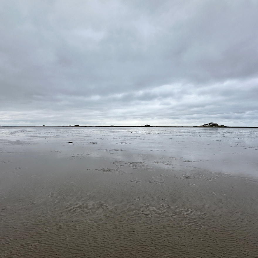 Sonerboor&nbsp;• Ein Hallig-Bestiarium, 2026